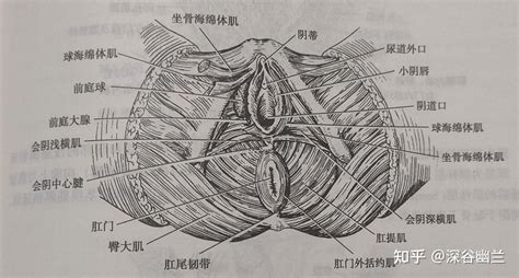 阴穴